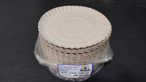 PRATO COMUM 4 C/100 UNIDADES 19CM