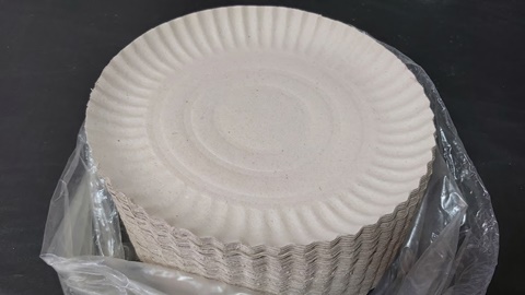 PRATO COMUM 05 C/ 100 UNIDADES 21CM