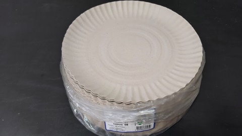 PRATO COMUM 06 C/ 100 UNIDADES 24CM
