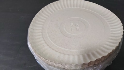 PRATO COMUM 08 COM 100 UNIDADES 28CM