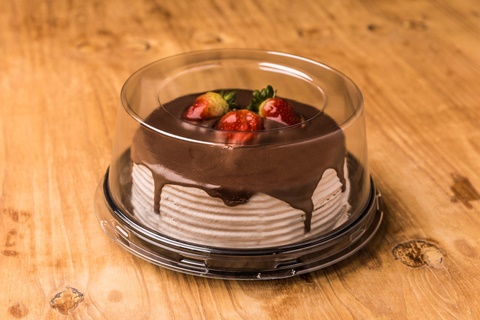 BANDEJA PLASTICA 22X10CM LISA UND HL32