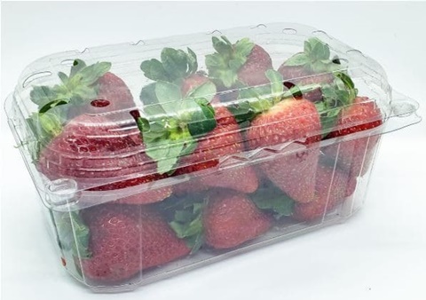 CUMBUCA GF 503  PARA FRUTAS UND