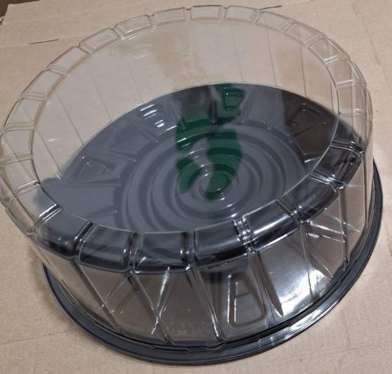 BANDEJA  PLASTICA 29X10CM